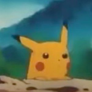 Meet your Posher, Bonnie